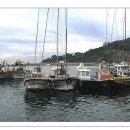 외연도3 이미지