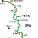 8월16일 제36차 오대산 선재길 (평창) 정기산행 공지 이미지