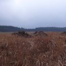 골체오름 이미지