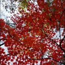 25년 11월 2일 일요산행 정선군 &#34;숨바우길&#34; ^^ 이미지