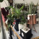 춘화농장 이미지