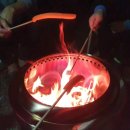 안면도쥬라기박물관 이미지