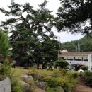 증산초교 이미지