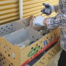 신하농장 이미지