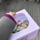금정과일 | 산본케이크 #제이델링 산본금정점 과일폭탄케이크 무인픽업 후기