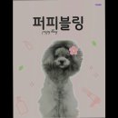 똥강아지 반려견 미용실·호텔 | [김포 호텔/가격/후기] 퍼피블링 김포 호텔 퍼피블링, 믿고 맡길 수 있는 곳