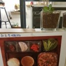 거북이식탁 네이버블로그