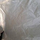 파라다이스 세탁소 이미지