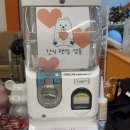 하트멍 | [천안] 청수동 하트멍 솔직 후기｜사모예드 실물은 진짜 사랑이더라