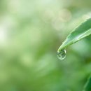 서해건강마을 이미지