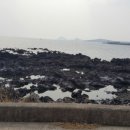 위미바다풍경하우스 이미지