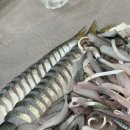 신우수산도매횟집 네이버블로그