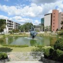 중앙대학교 이미지