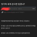 K-롤로노아 조로 이미지