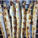 12/7(일)휴휴암,하조대,외옹치바다향기로,속초관광수산시장,도루묵&amp;양미리 먹방여행 이미지