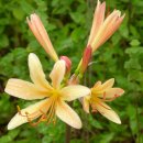 계절여행 이미지