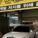 엘리강스 이미지