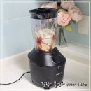 2041 | [필립스 믹서기/블렌더 3000시리즈 HR2041/01] 믹서기 새로 바꿨어요/내돈내산 후기