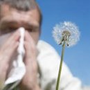 노스트한의원 이미지