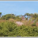 경기도청 이미지