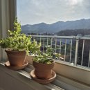 덕성슈퍼 | [공지] 이순일 선생님 그룹슈퍼비전 안내