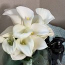 아뜰리에 | [공지] 청주 본식 부케 추천 가성비 좋은 아뜰리에블룸 부케 후기