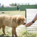 오수천1 이미지