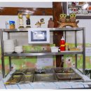 원조닭날개구이 이미지