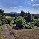 삼배목장 이미지