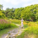 황학산수목원 이미지