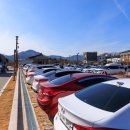 봉황대고분 이미지