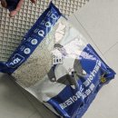 블루펫 | 고양이 벤토나이트 모래 용량 대비 가성비 좋은 블루펫 응고형 내돈내산 솔직한 후기