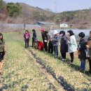 정다운농장 이미지