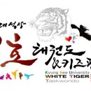 백호경희대태권도 이미지