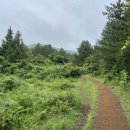 솔오름주차장 이미지