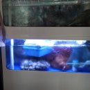 모먼트 당구장 이미지