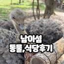 별이사는집 | 남이섬 입장권 싸게 15,000원 사는 방법 | 내부(안에) 식당 및 카페, 동물 후기