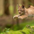 현대오일 이미지