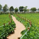 하남체육공원 이미지