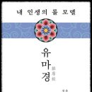 제4 보살품 : 4-3 지세보살, 유마와의 과거 일을 회상하다. 이미지