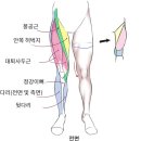 서호동-48 네이버블로그