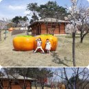 상주곶감공원 야외 이미지