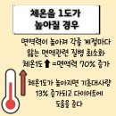 드림점핑&온열