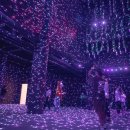 불빛목장 이미지