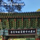 사자봉민박 이미지