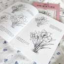 보태니컬 드로잉 이미지