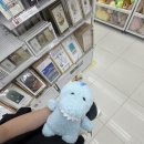 카페스누 | 시끄러운 고독