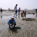 만돌어촌체험휴양마을 이미지