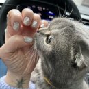 네일이야기 이미지