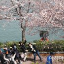 기분꽃같네 이미지